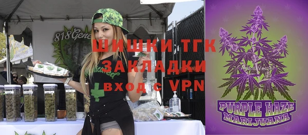 крисы Костерёво