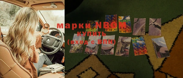 индика Краснотурьинск