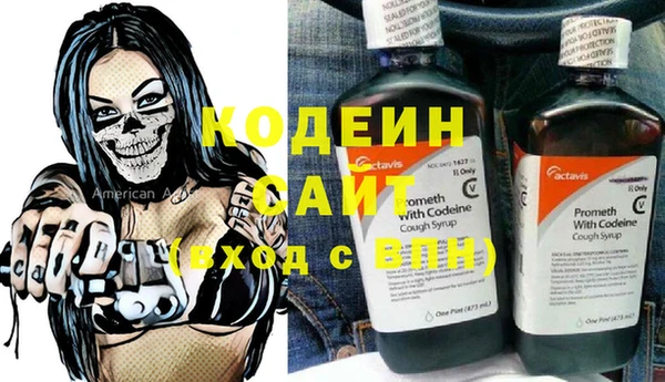 прущие грибы Козельск