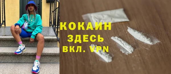 индика Краснотурьинск