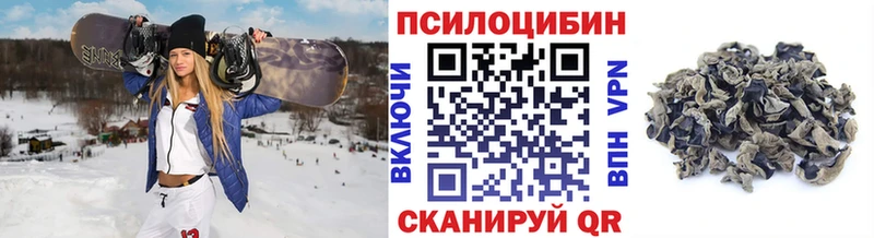 Галлюциногенные грибы Psilocybine cubensis  купить   Киренск 