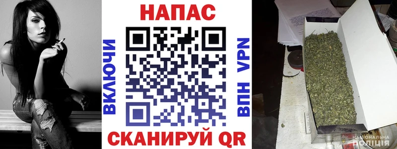 Бошки марихуана OG Kush  как найти наркотики  Киренск 